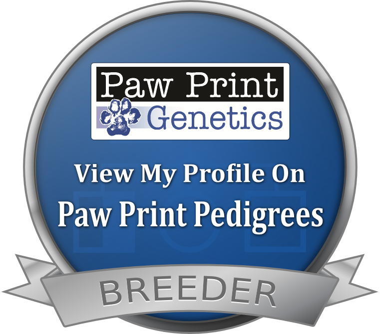 Paw Print Genetics pedigree seal