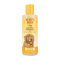 Burt's Bees Shampoo