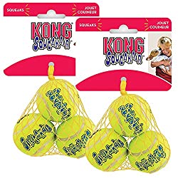 Kong toys for dogs