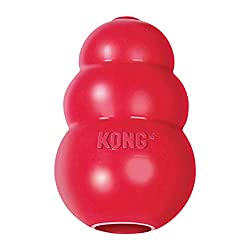 Kong toys for dogs