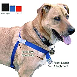 Walk Your Dog With Love Harness