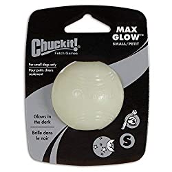 Glow in the dark dog ball