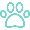 Paw print icon